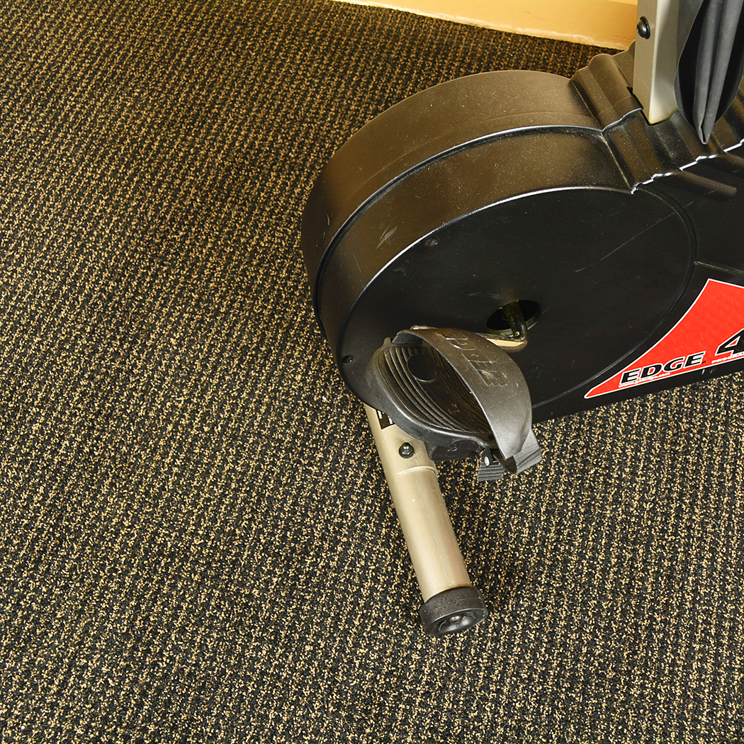 Fitness Quest Edge 491Recumbent Exercise Bike