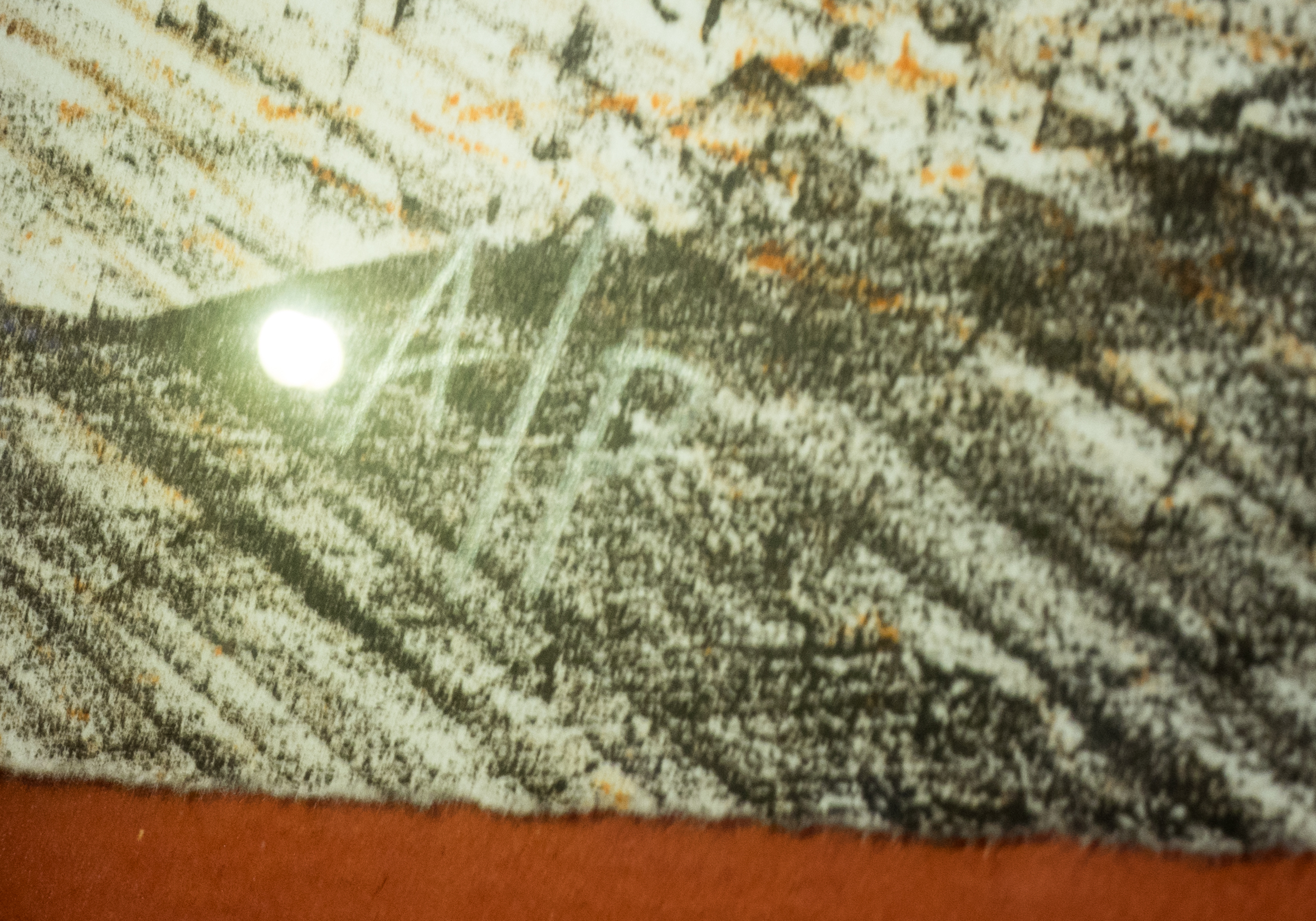 Signed Yvonne Cheng Artist Proof Lithograph