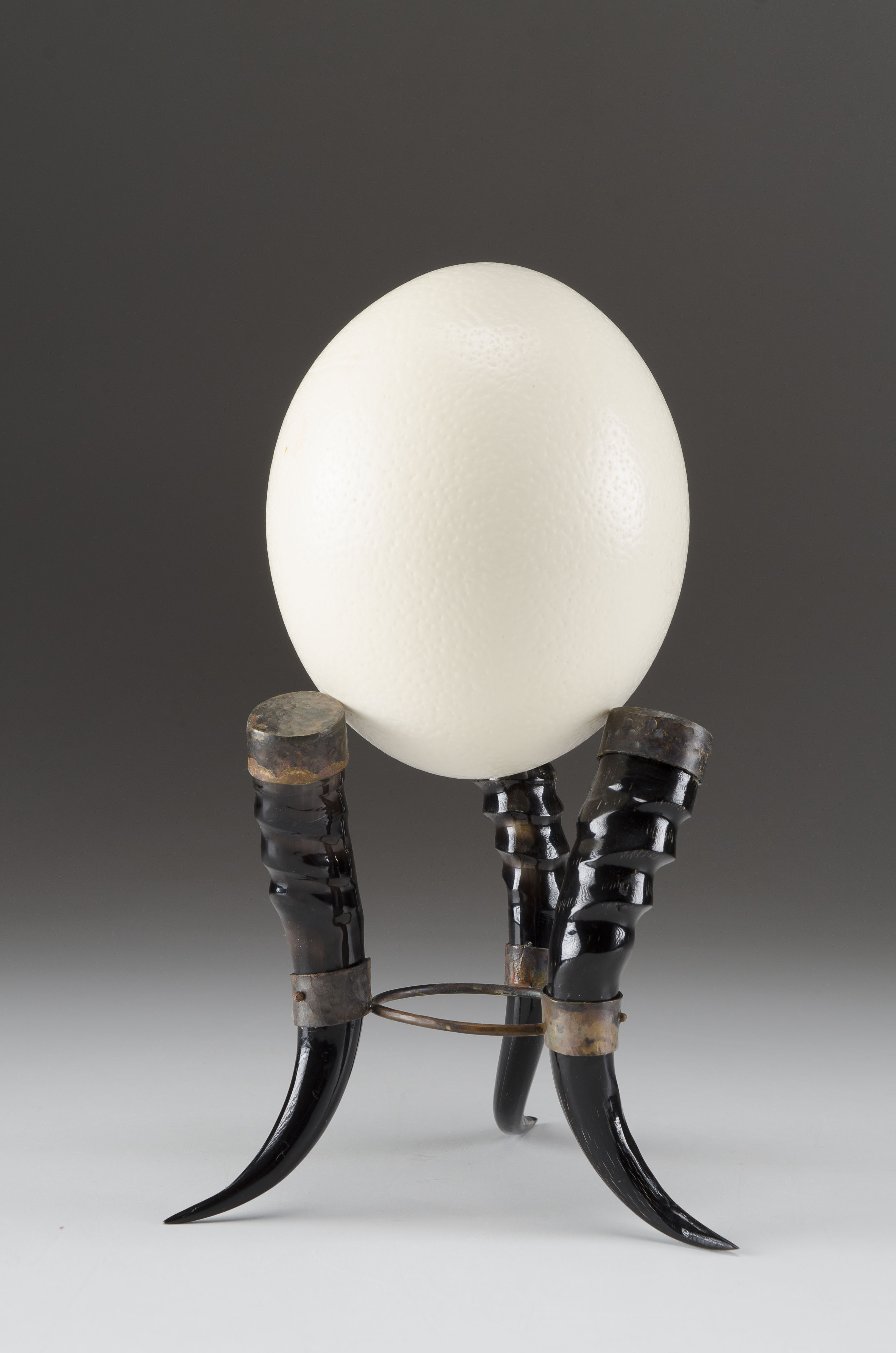 Ostrich Egg on Horn Stand