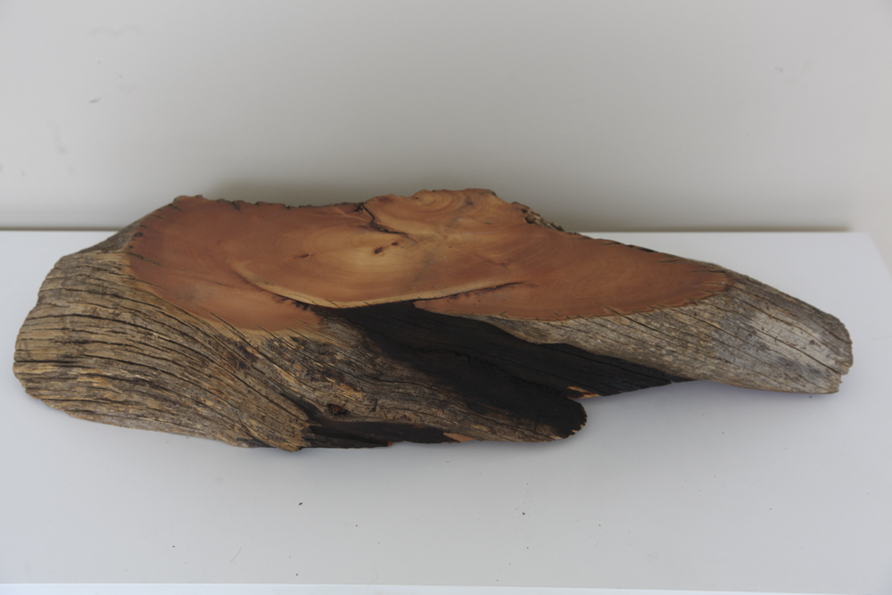 Hand-Crafted Bristlecone Pine Bowl