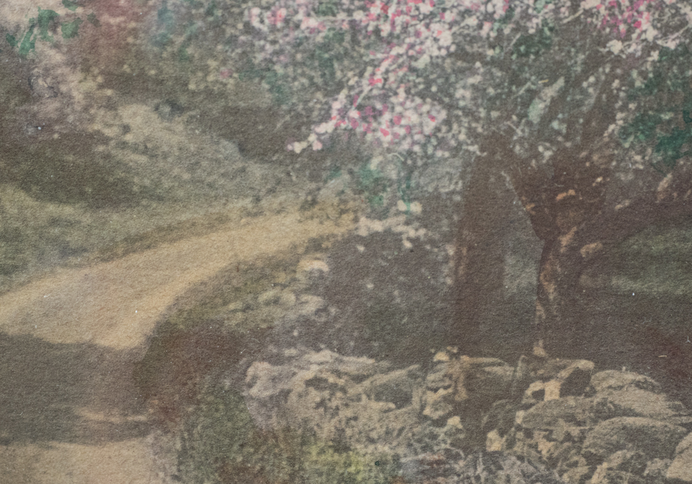 Signed Wallace Nutting "The Orchard Beud" Hand Colored Photograph