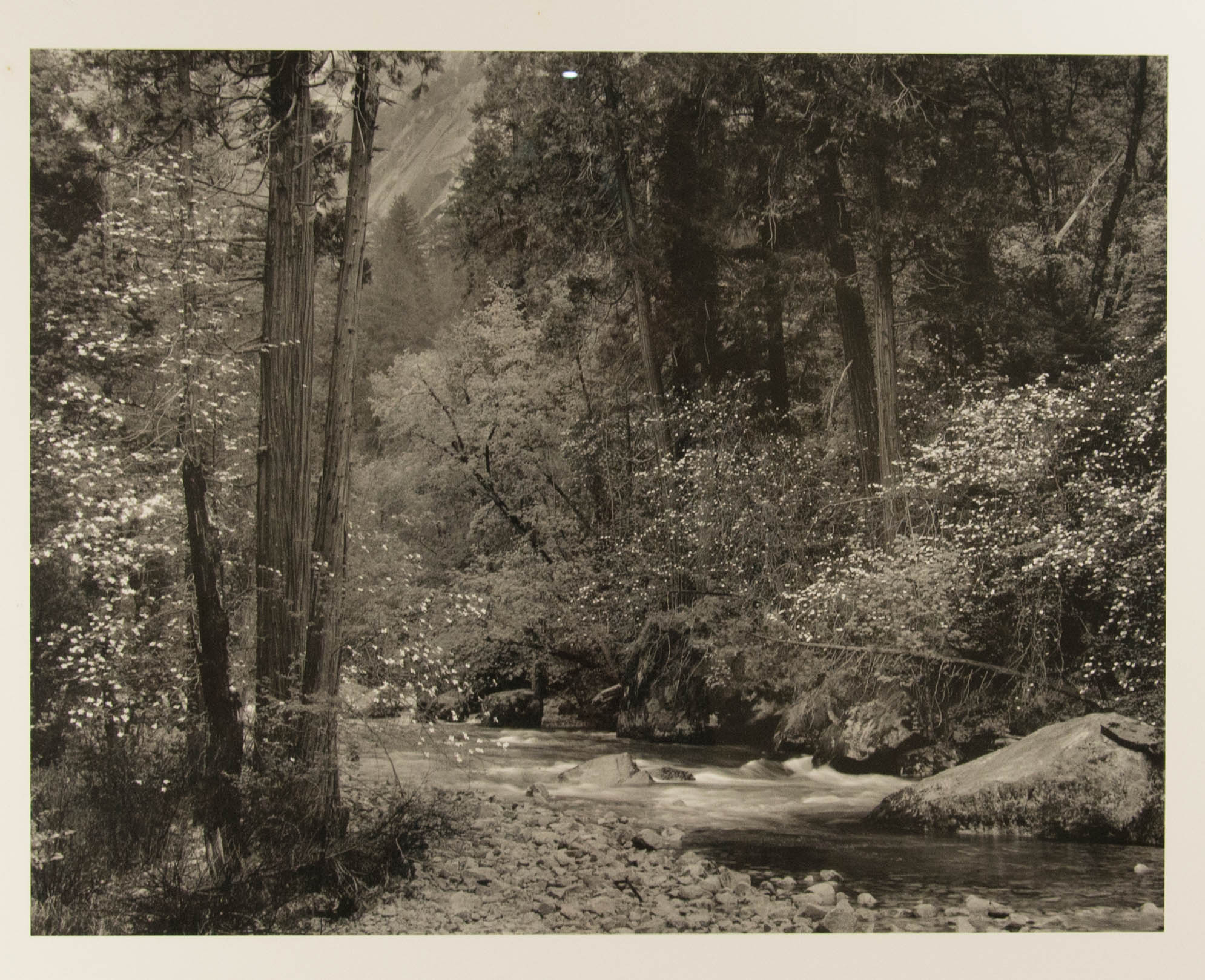 Trio of Framed Ansel Adams Prints