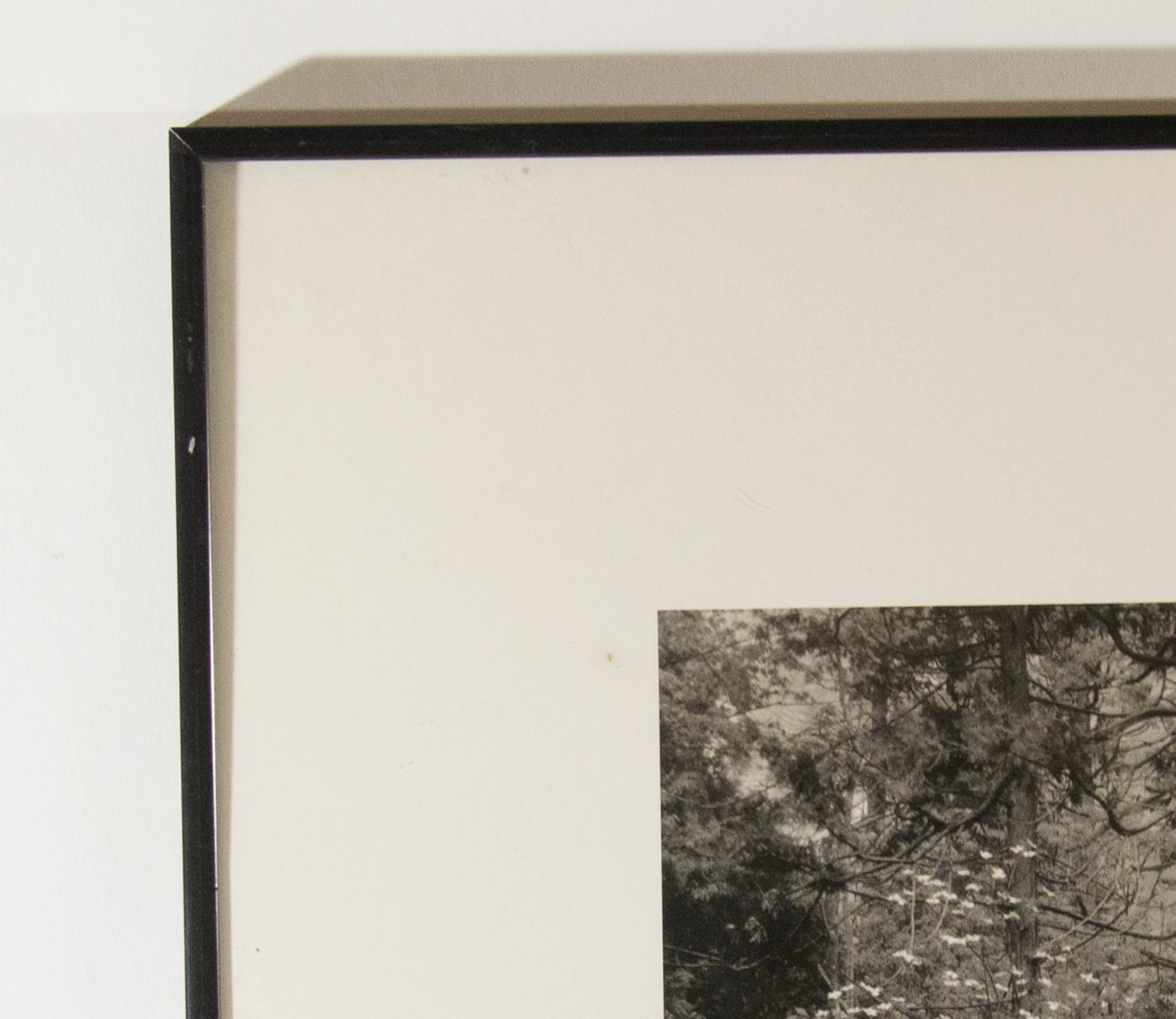 Trio of Framed Ansel Adams Prints