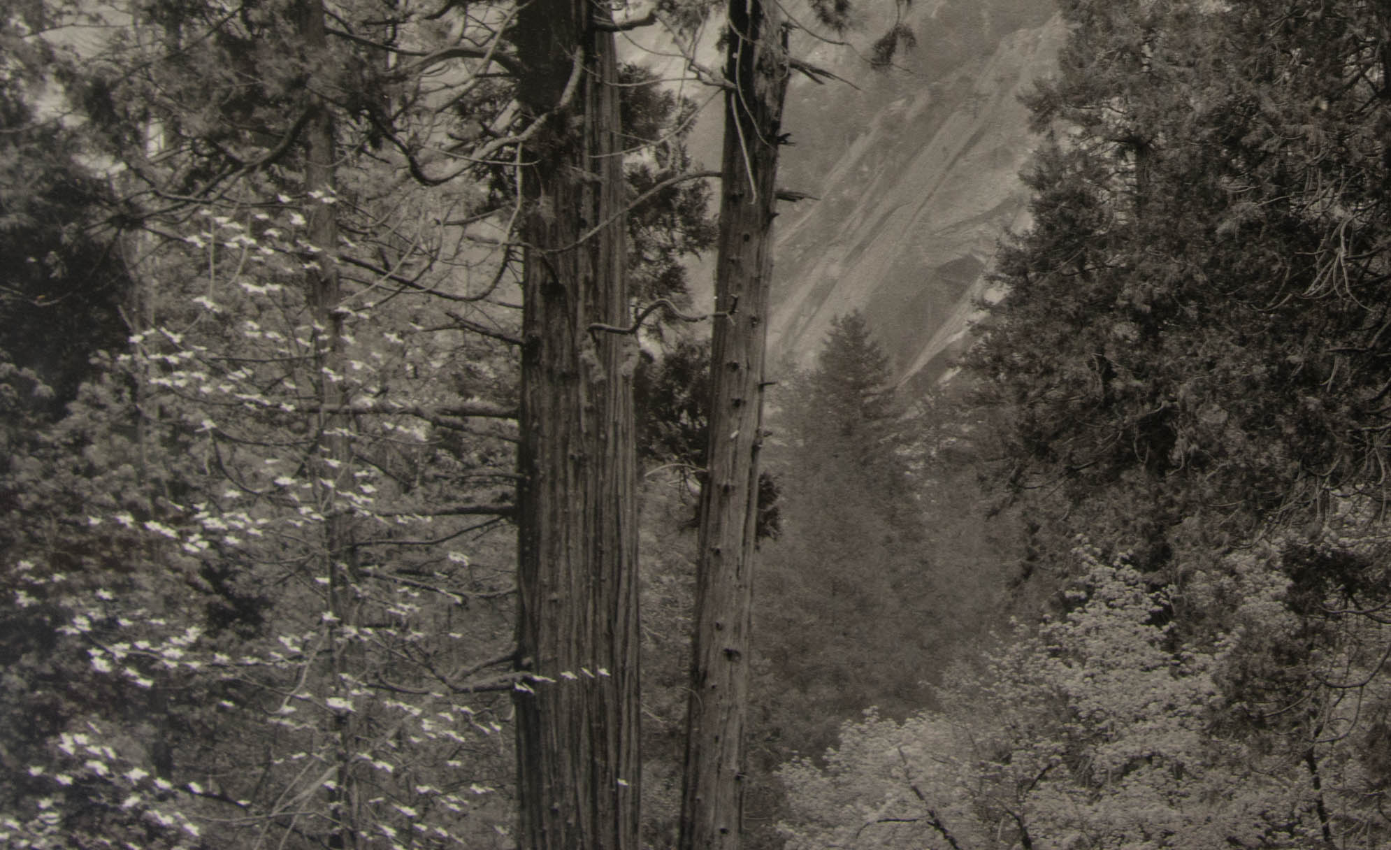 Trio of Framed Ansel Adams Prints