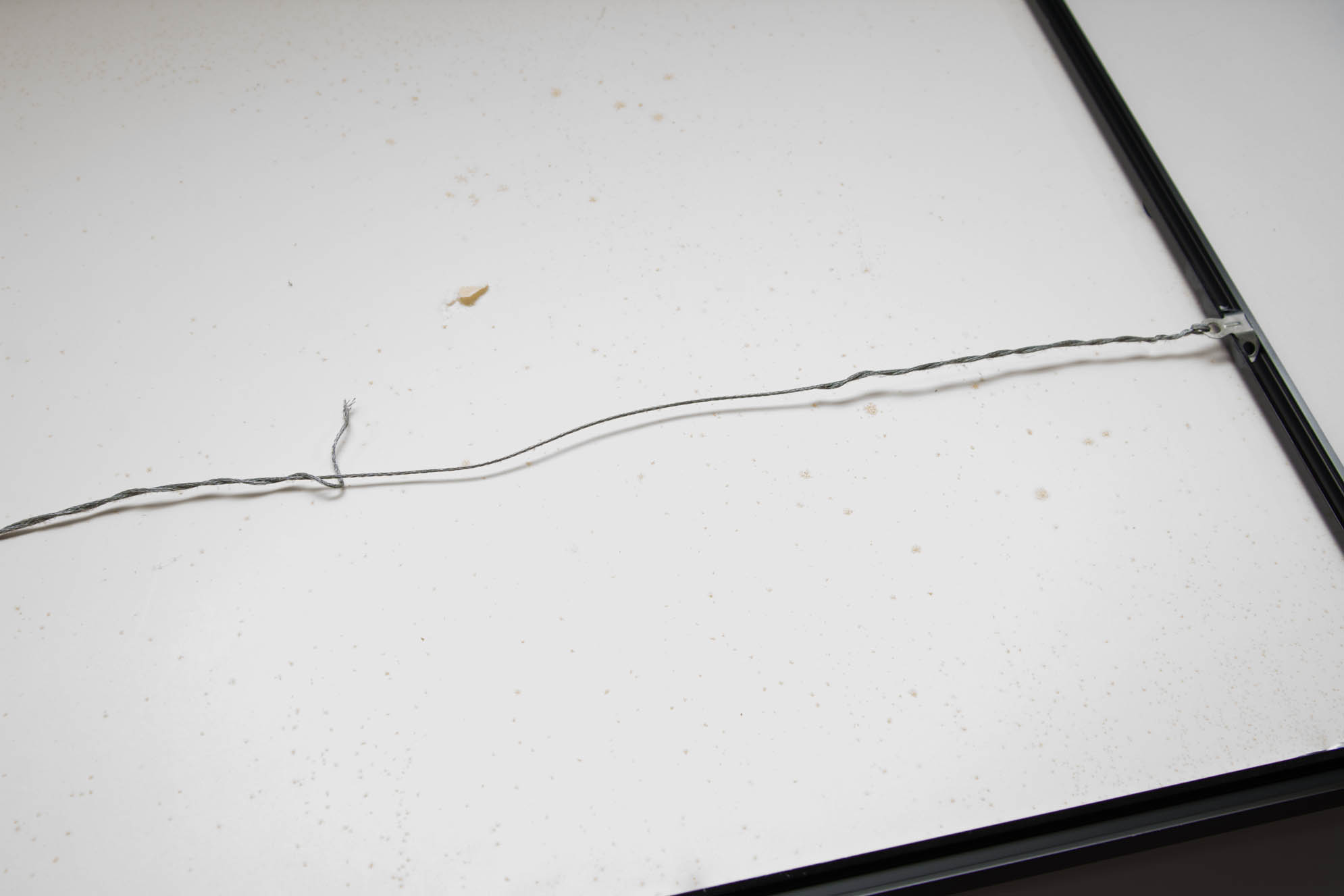 Trio of Framed Ansel Adams Prints