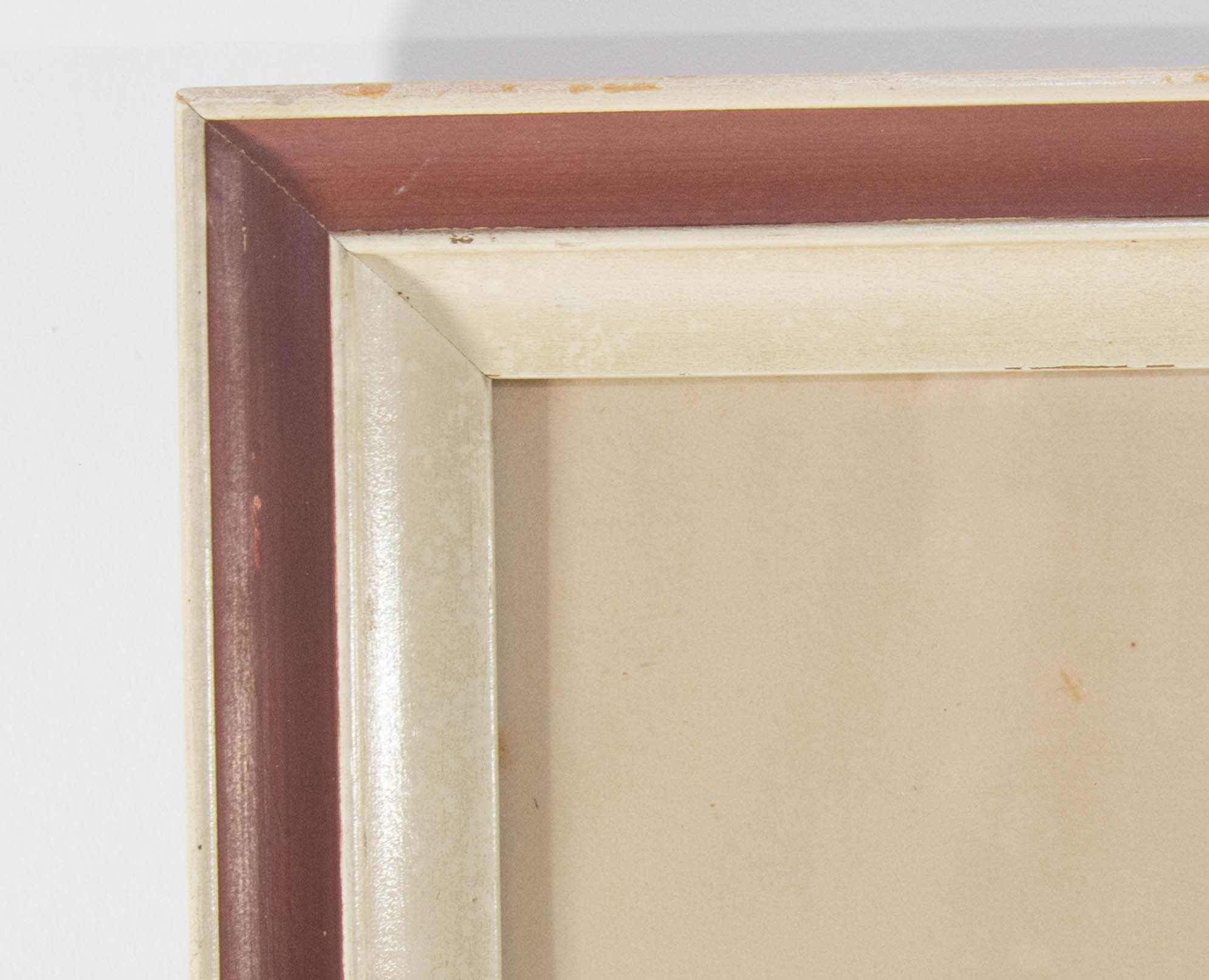 "Paradisea Apoda" Print by J. Wolf and J. Smit