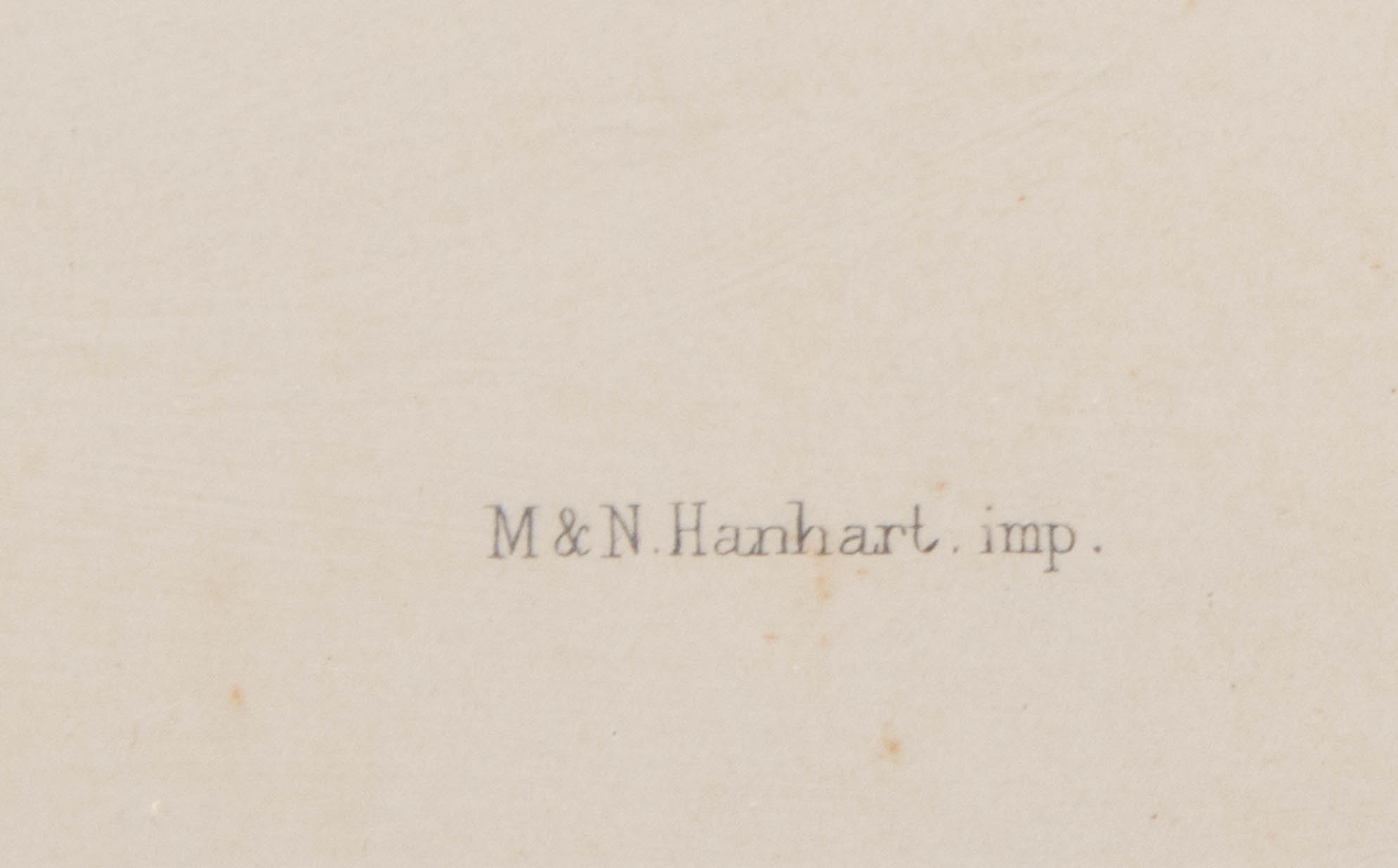 "Paradisea Apoda" Print by J. Wolf and J. Smit