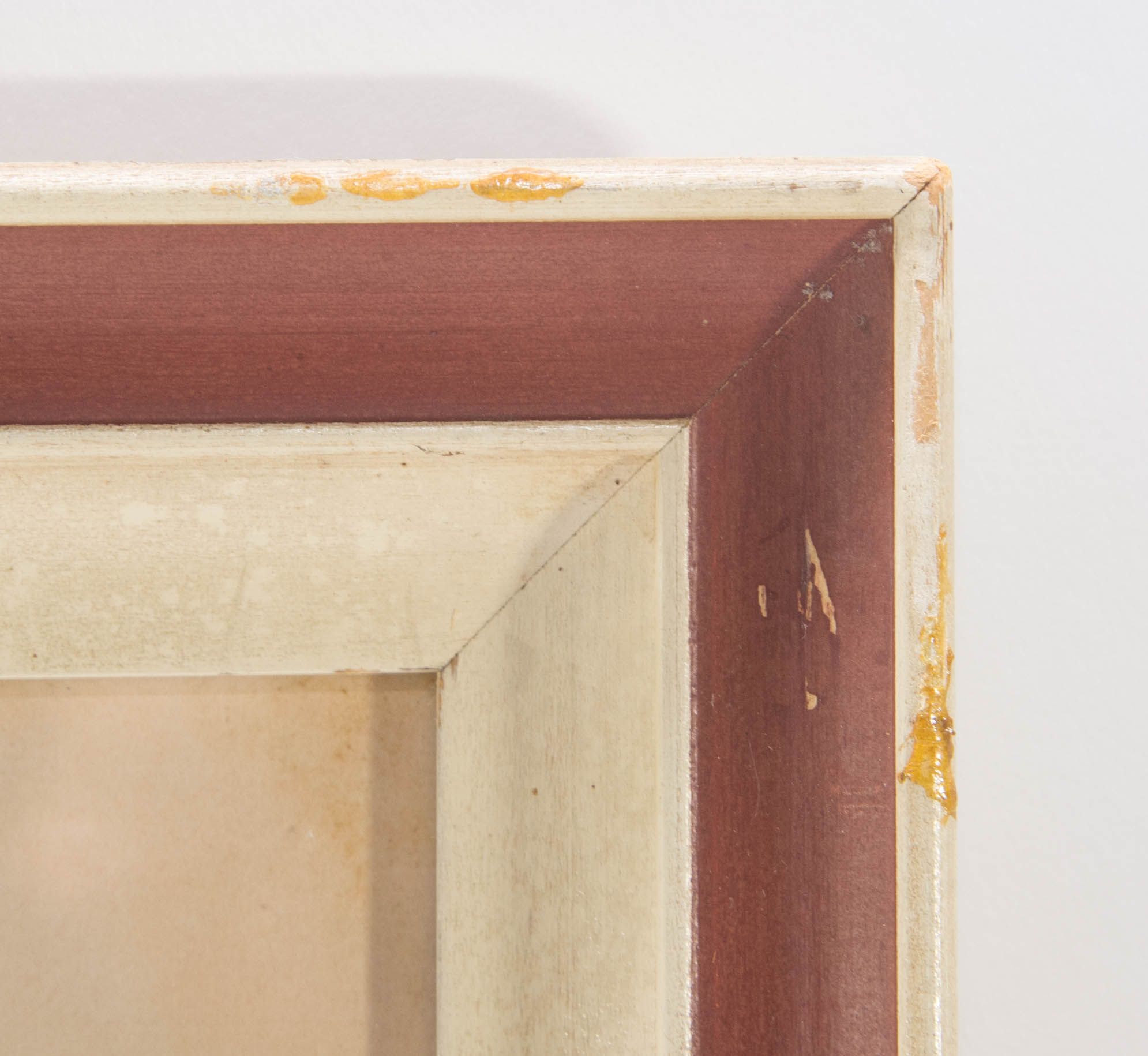 "Paradisea Apoda" Print by J. Wolf and J. Smit