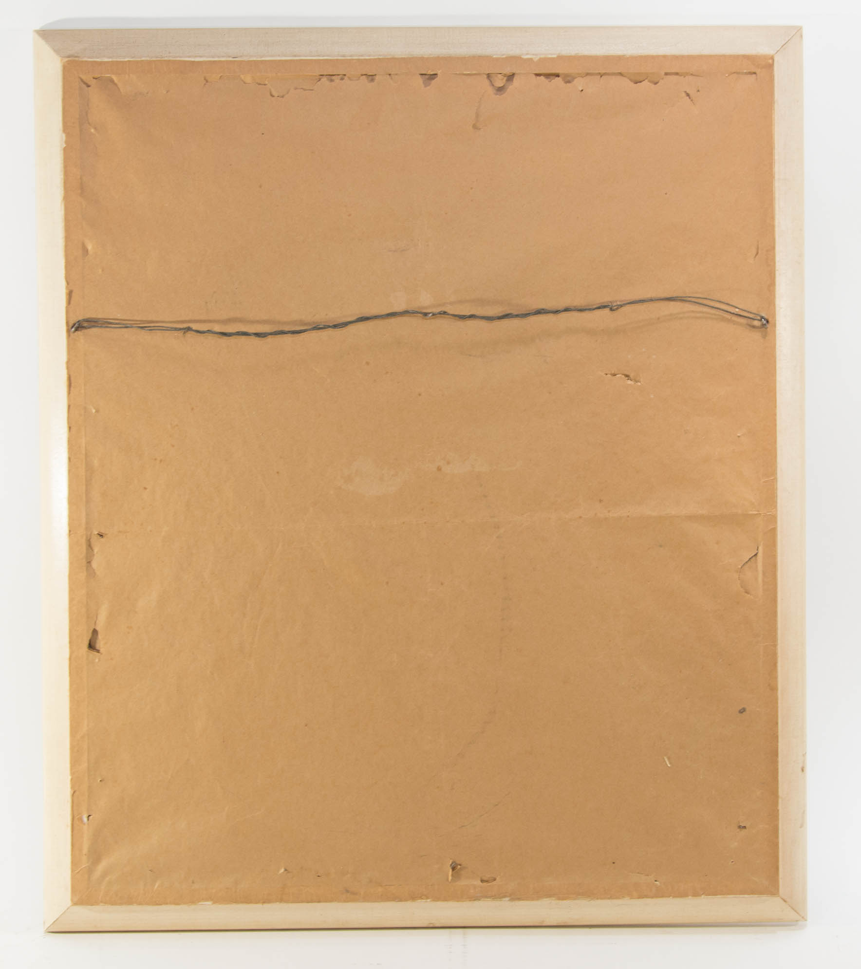 "Paradisea Apoda" Print by J. Wolf and J. Smit