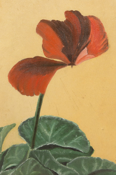 Collection of Framed Floral Paintings