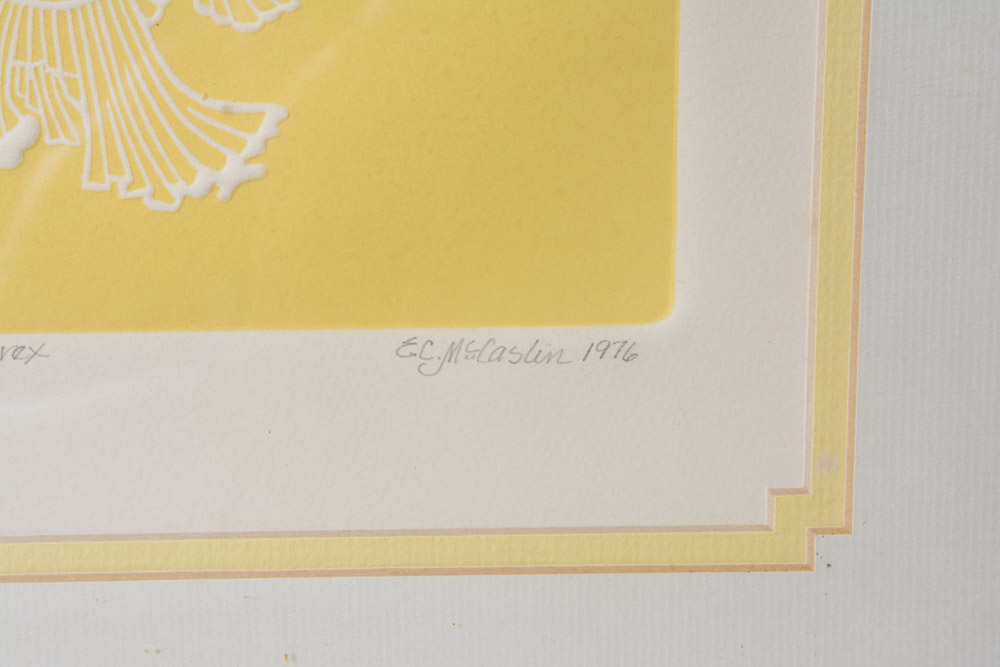 Collection of Framed Sea Shell Prints by E.C. McCaslin