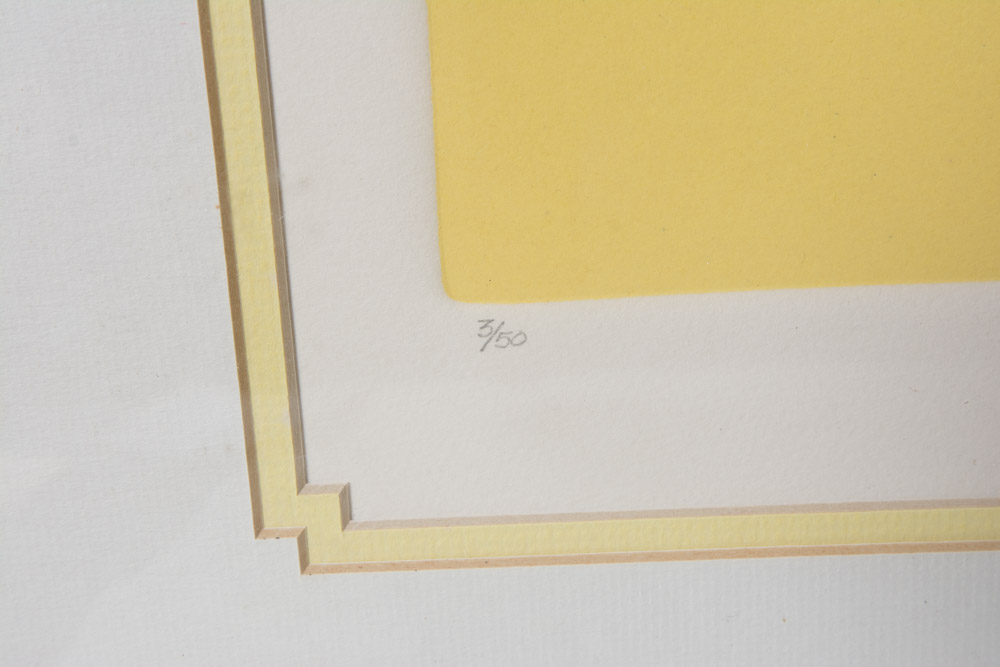 Collection of Framed Sea Shell Prints by E.C. McCaslin