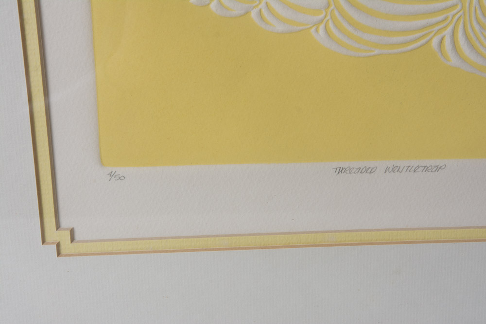 Collection of Framed Sea Shell Prints by E.C. McCaslin