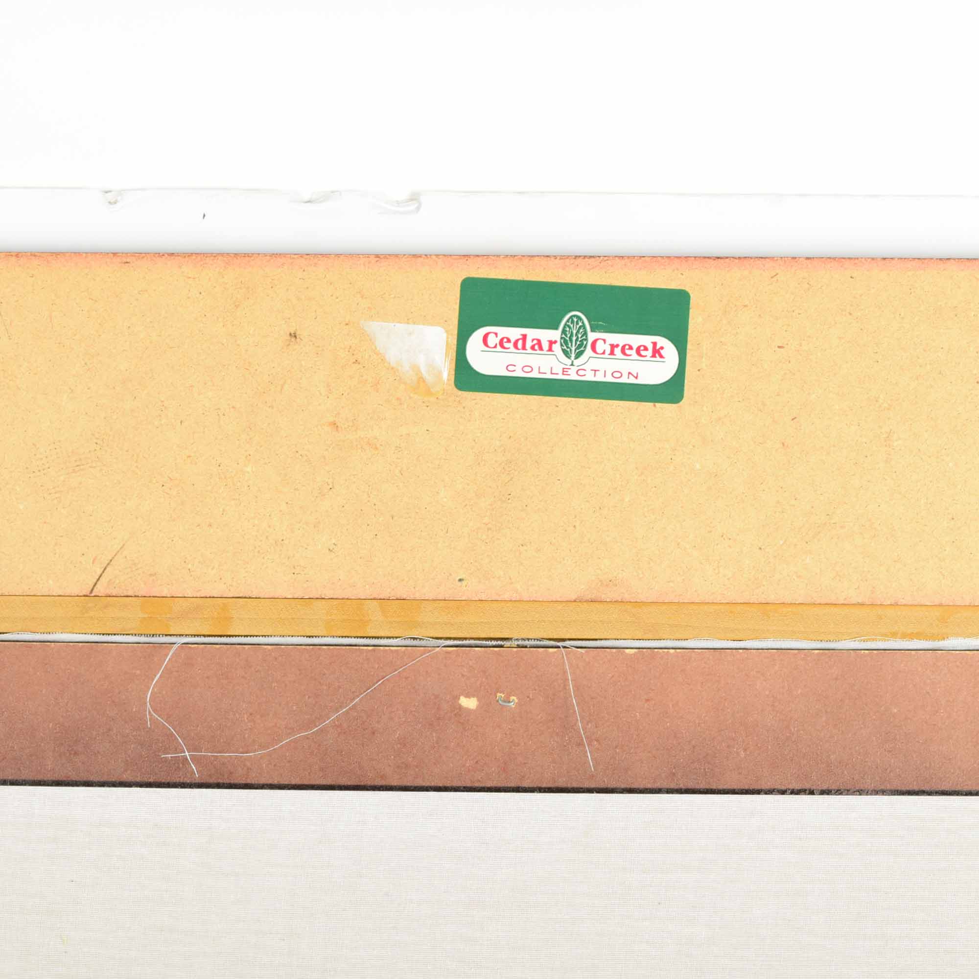 Richard Hall Tiger Montage Textured Print on Canvas