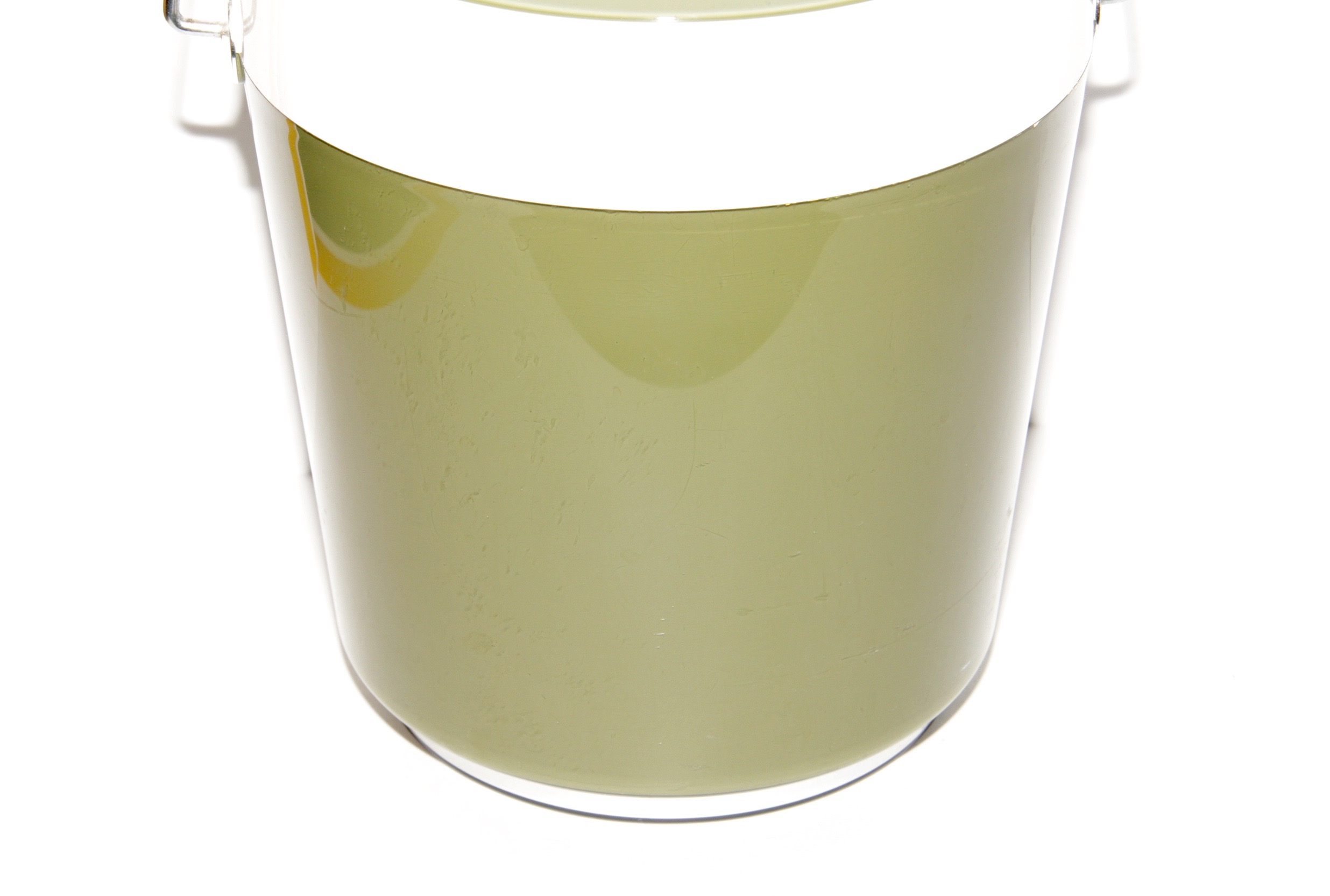 Vintage Olive Green Ice Bucket