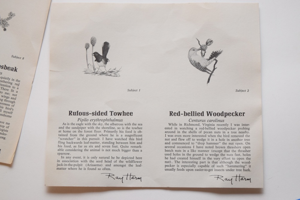 Five Ray Harm For Spode Collector Songbird Plates