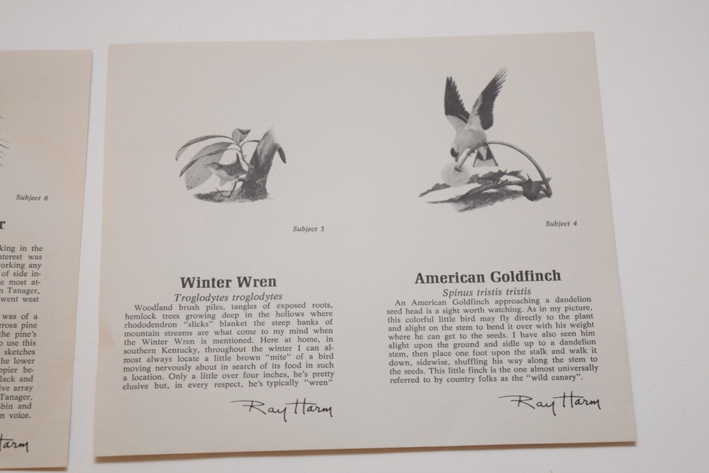 Six Ray Harm for Spode Collector Songbird Plates