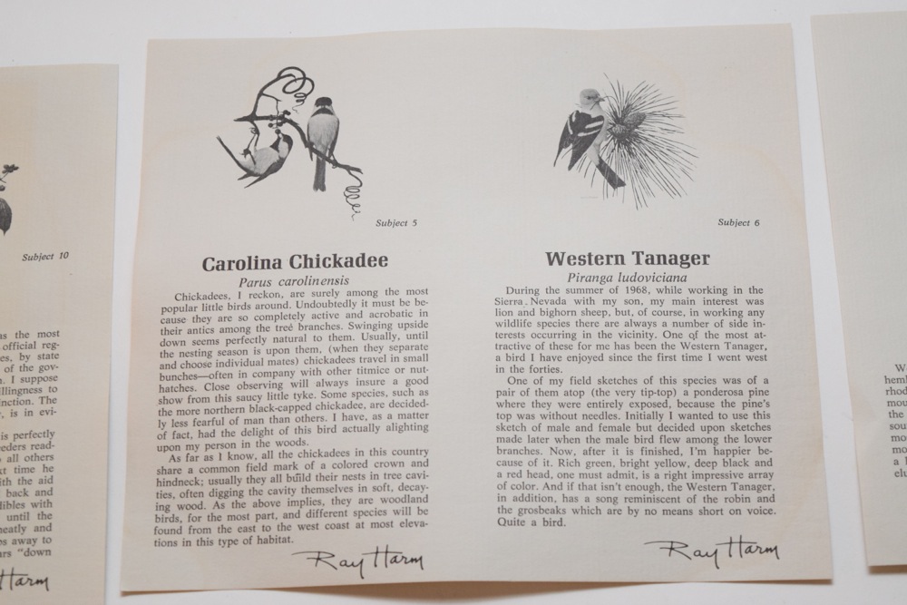 Six Ray Harm for Spode Collector Songbird Plates