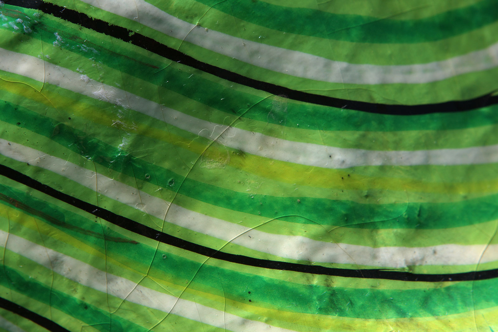 Large Signed Sergio Bustamante Paper Mache Parrot