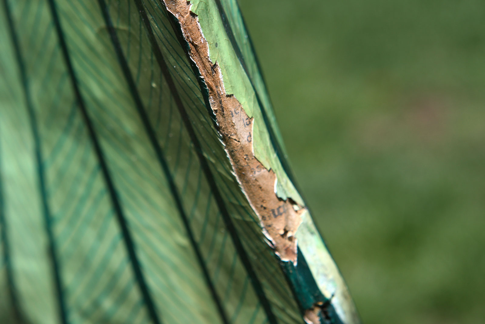 Large Signed Sergio Bustamante Paper Mache Parrot