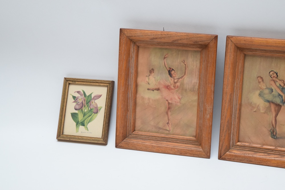 Matched Vintage Petite Ballerina and Botanical Study Artworks
