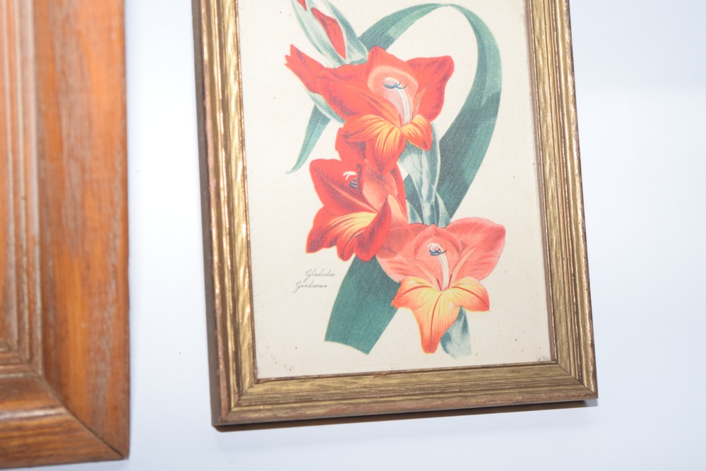 Matched Vintage Petite Ballerina and Botanical Study Artworks