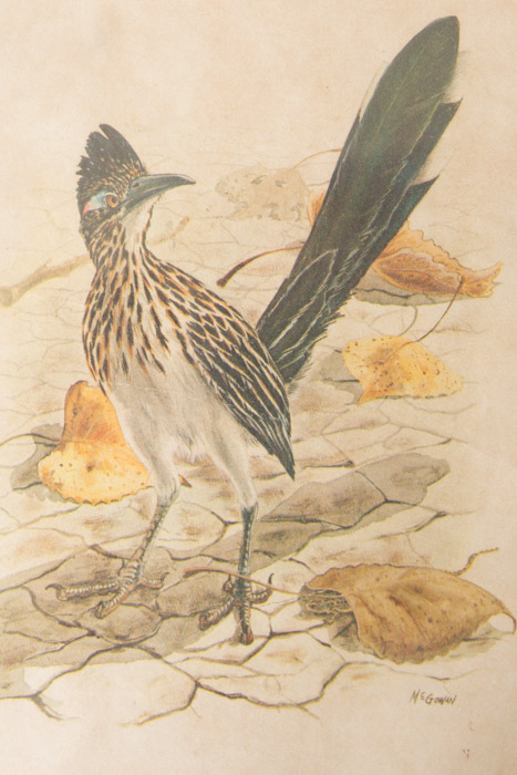 Collection of Art and Decor