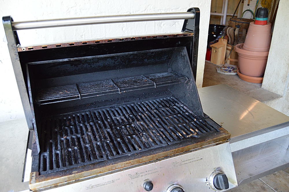 Vermont Castings Gas Grill