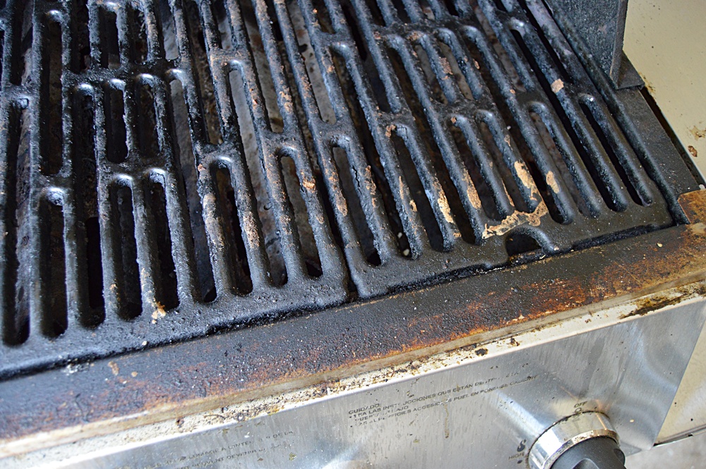 Vermont Castings Gas Grill