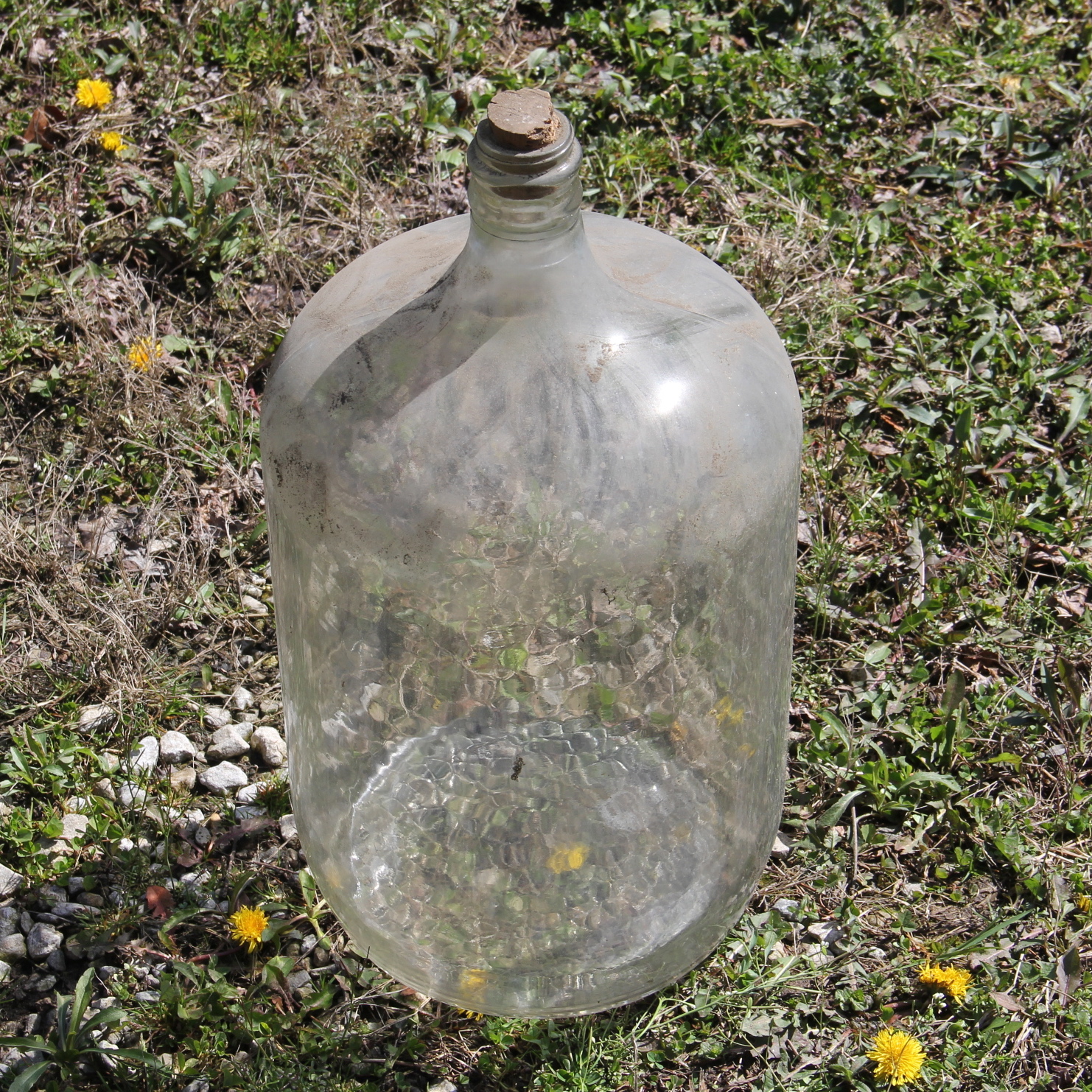 Vintage Five-Gallon Glass Carboy