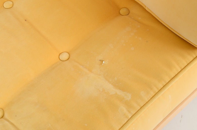 Contemporary Modern Day Bed