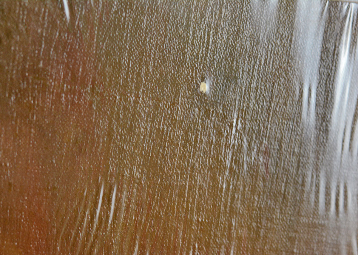 Anne Fleckenstein "Portrait of a Young Bearded Man", c. 1900