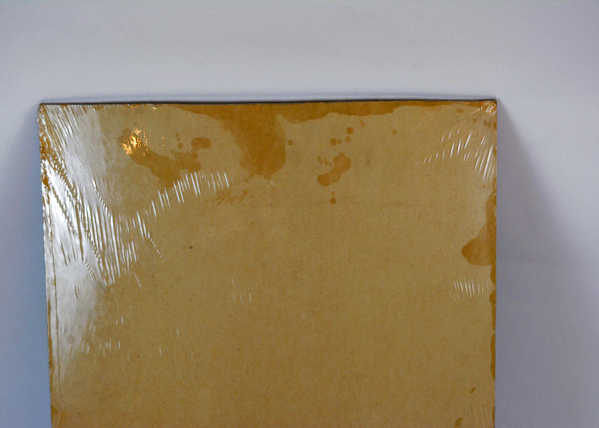 Anne Fleckenstein "Portrait of a Young Bearded Man", c. 1900