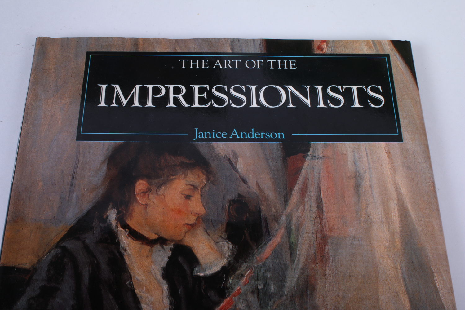 Collection of Art Books