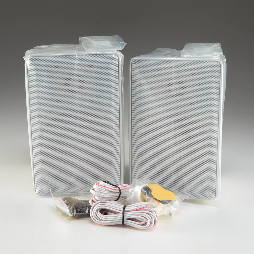 Pinnacle AC Indoor/Outdoor Speakers