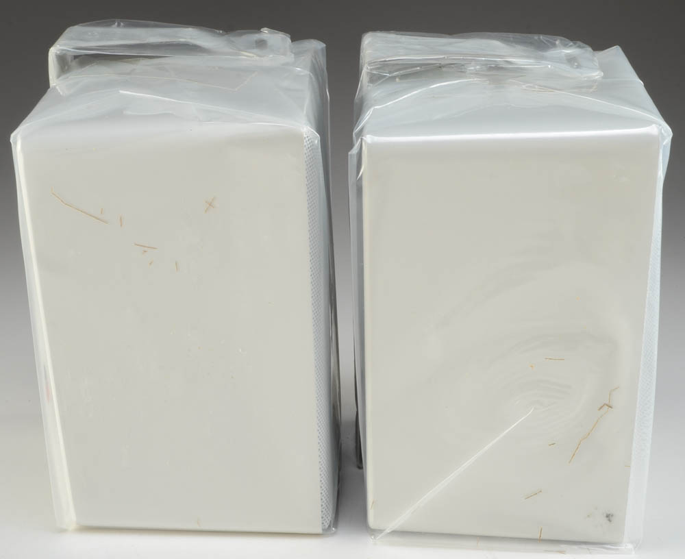 Pinnacle AC Indoor/Outdoor Speakers