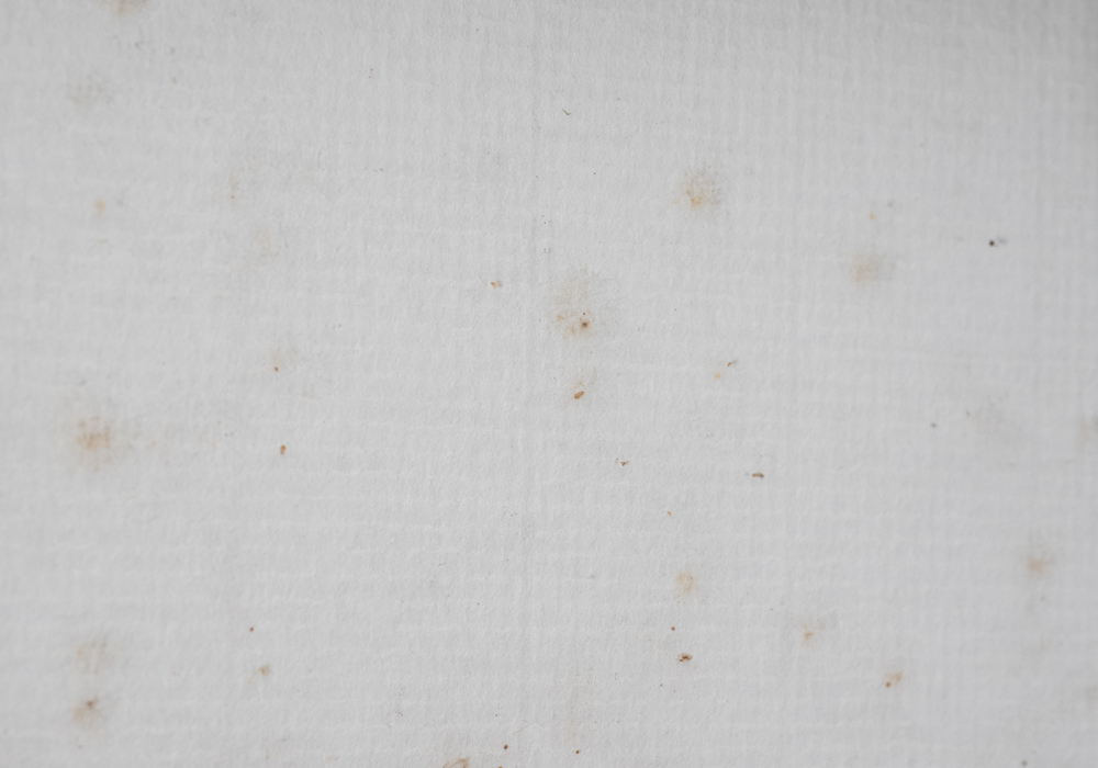 Signed Limited Edition Jean-Paul Donadini Lithograph