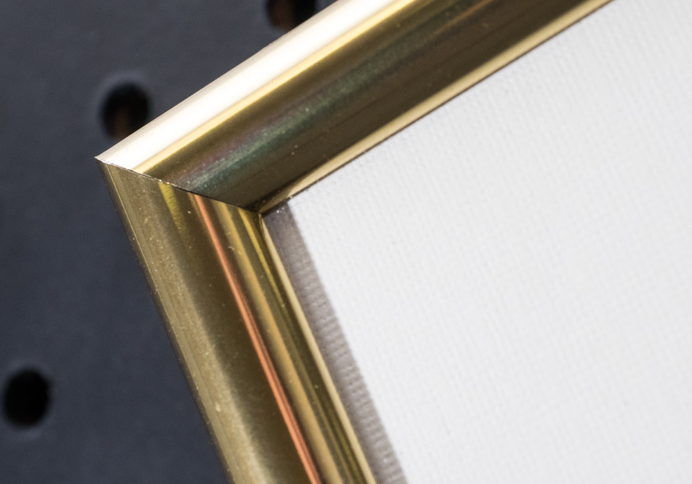 Signed Diane Gertz "Seagrape at HBOI" Watercolor