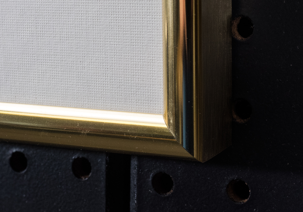 Signed Diane Gertz "Seagrape at HBOI" Watercolor