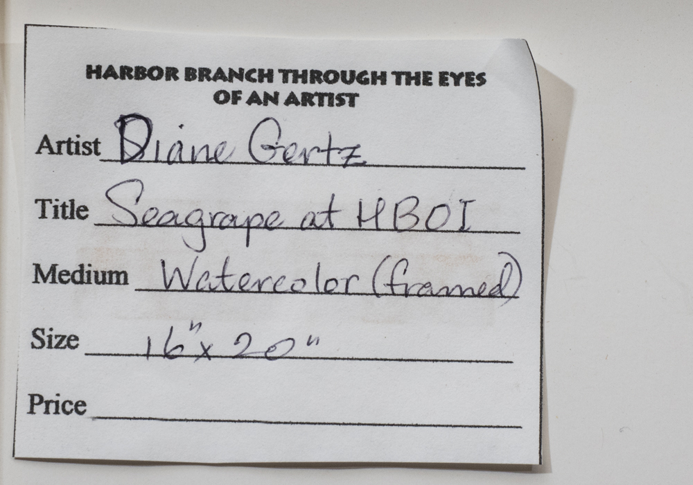 Signed Diane Gertz "Seagrape at HBOI" Watercolor