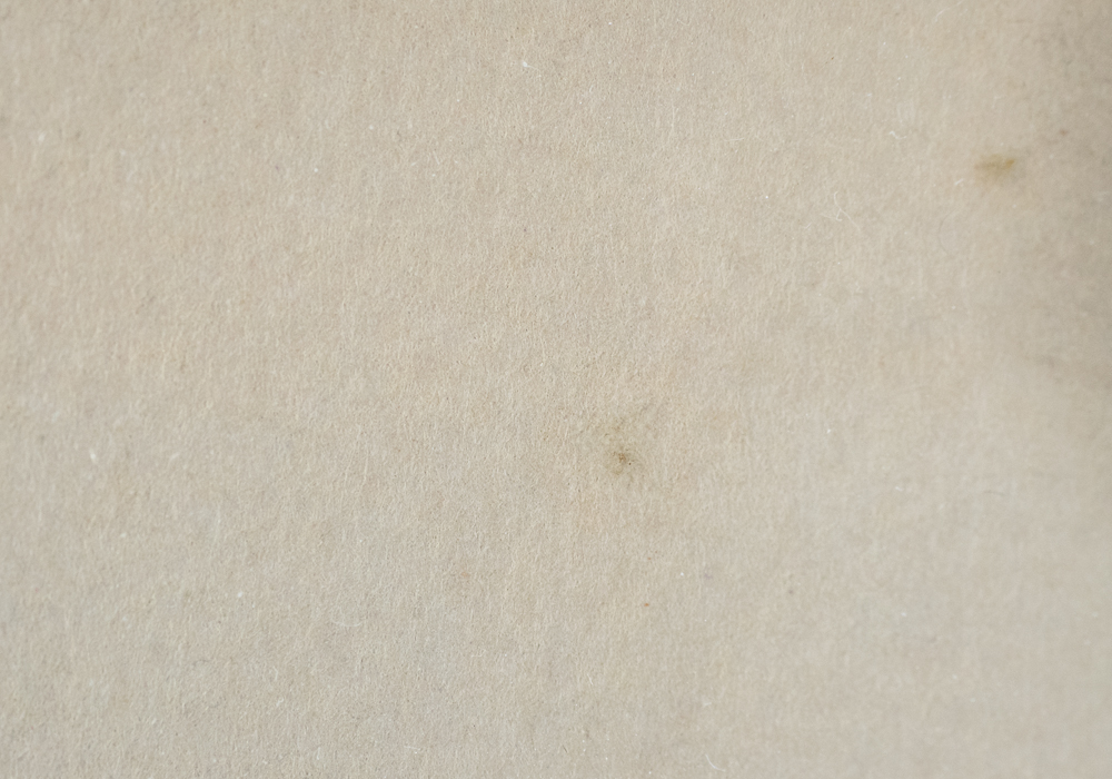 Antique Engraving by Gleason's Pictorial Drawing-Room Companion