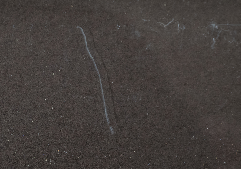 Signed R. Cavalla Oil Painting on Board