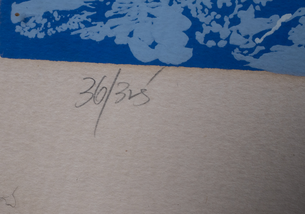 Signed Limited Edition Mark King "Downhill Racer" Serigraph