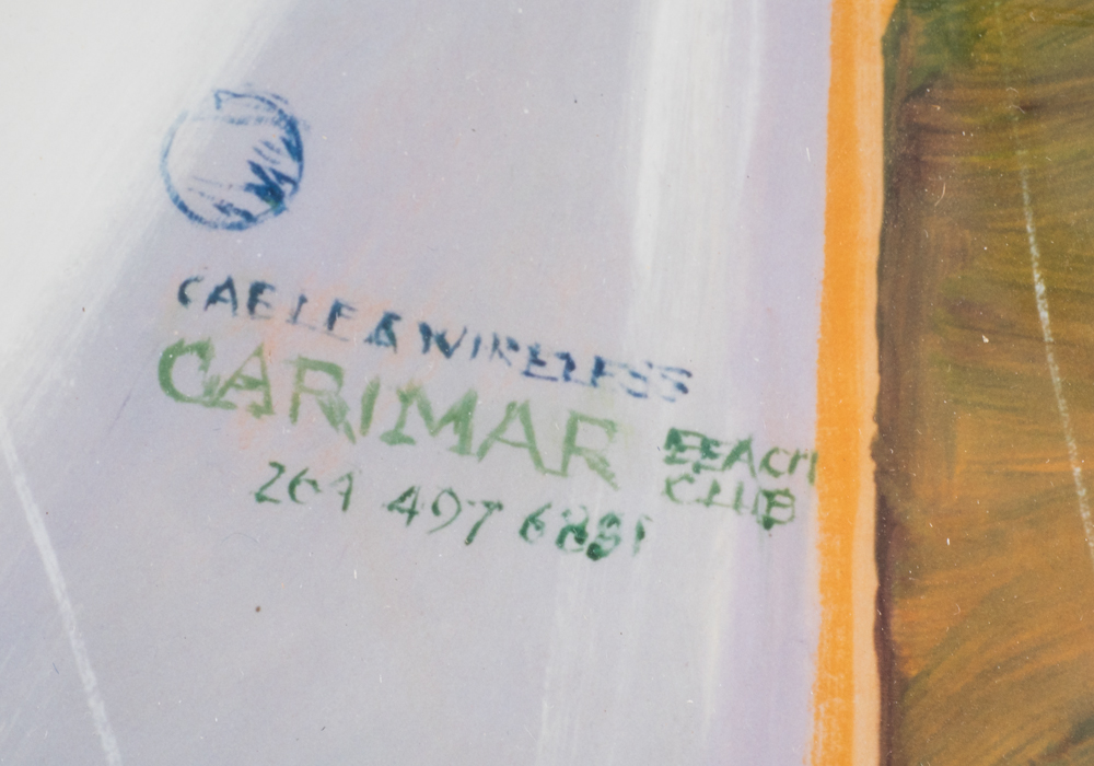 Signed Limited Edition Shari Erickson Tropical Giclee