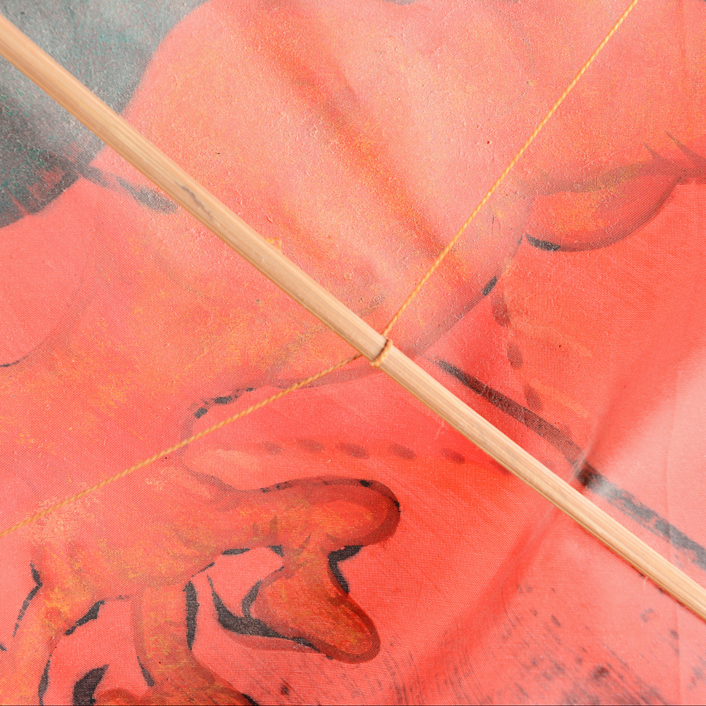 Colorful Traditional Chinese Dragon Kite