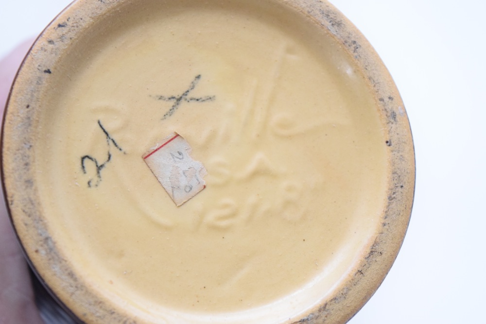 Vintage Roseville Freesia Amphora Vase