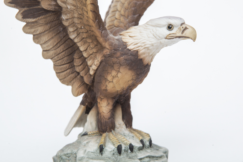 "Bald Eagle" by Andrea Sadek