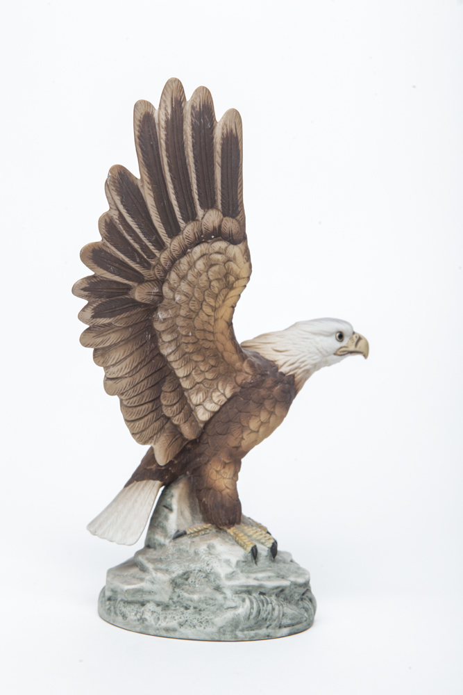 "Bald Eagle" by Andrea Sadek