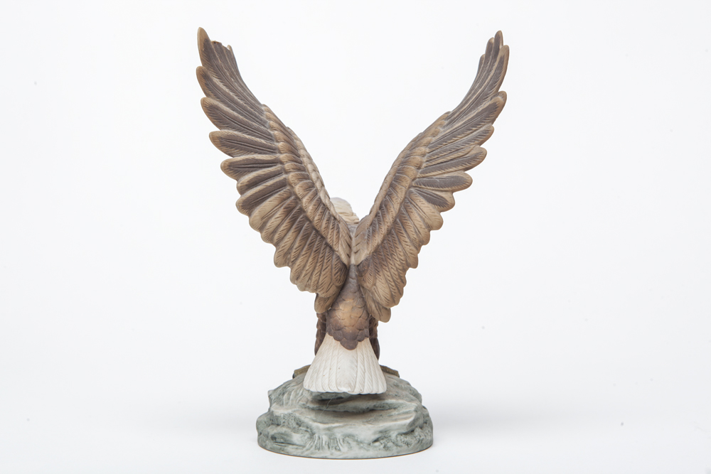 "Bald Eagle" by Andrea Sadek