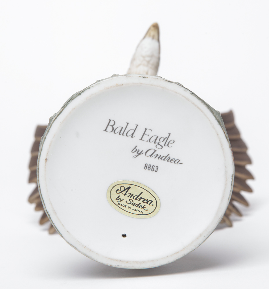 "Bald Eagle" by Andrea Sadek